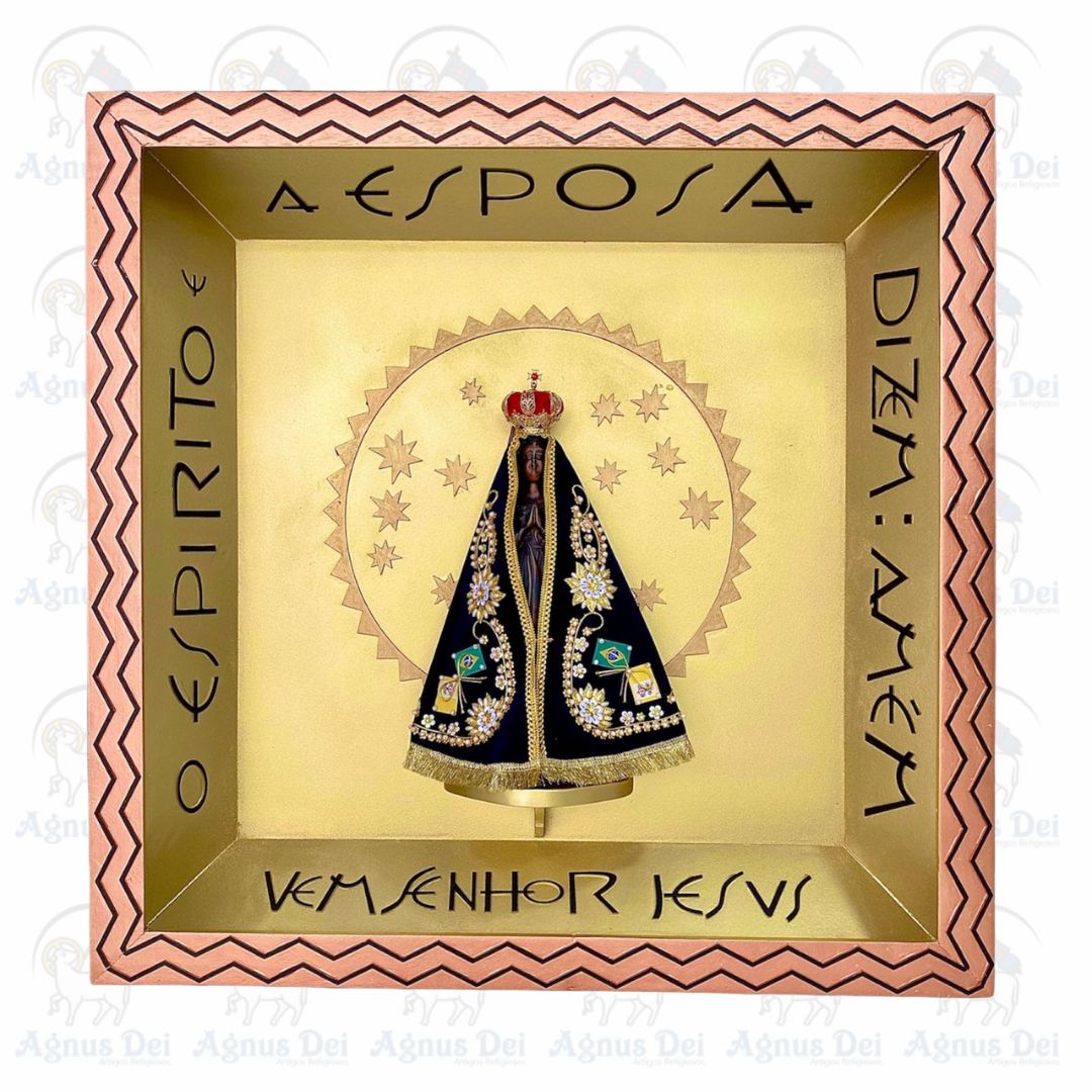 Nicho Nossa Senhora Aparecida MD0020