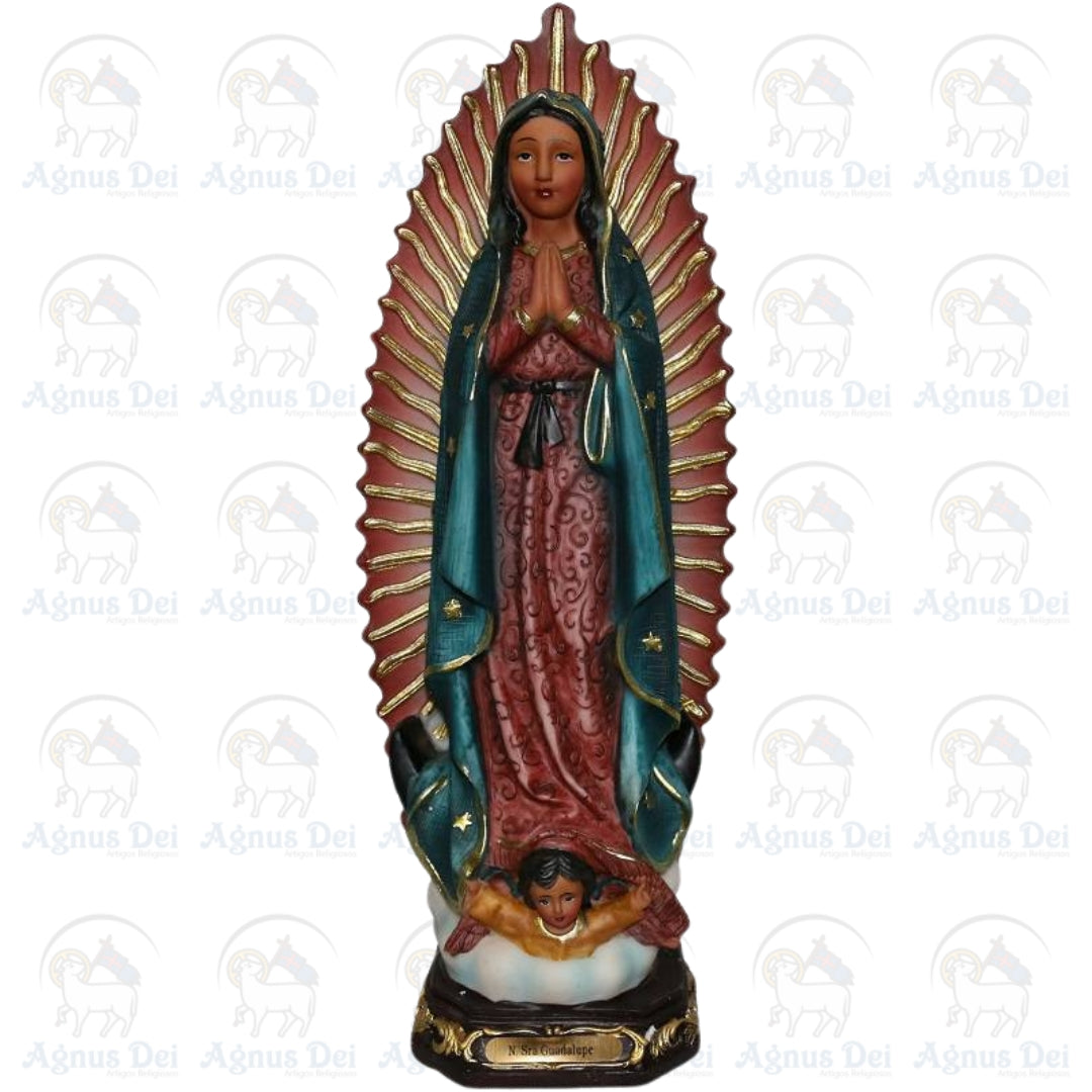 Nossa Senhora de Guadalupe IR