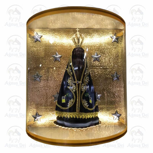 Nicho Nossa Senhora Aparecida CA 9043