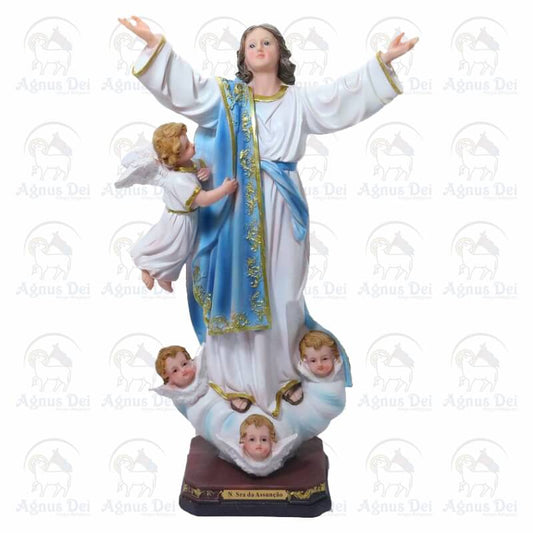 Nossa Senhora Assunção IR